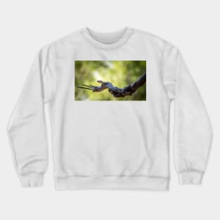 Nature's Helping Hand Crewneck Sweatshirt